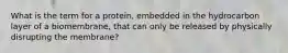 What is the term for a protein, embedded in the hydrocarbon layer of a biomembrane, that can only be released by physically disrupting the membrane?