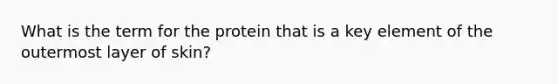 What is the term for the protein that is a key element of the outermost layer of skin?