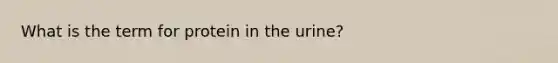 What is the term for protein in the urine?