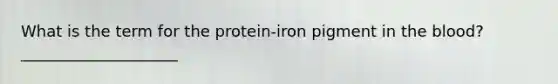 What is the term for the protein-iron pigment in the blood? ____________________