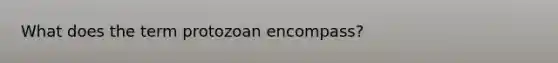 What does the term protozoan encompass?