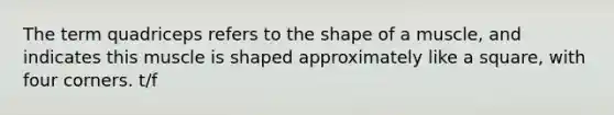 The term quadriceps refers to the shape of a muscle, and indicates this muscle is shaped approximately like a square, with four corners. t/f