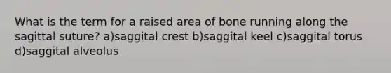 What is the term for a raised area of bone running along the sagittal suture? a)saggital crest b)saggital keel c)saggital torus d)saggital alveolus