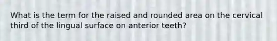 What is the term for the raised and rounded area on the cervical third of the lingual surface on anterior teeth?