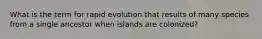 What is the term for rapid evolution that results of many species from a single ancestor when islands are colonized?