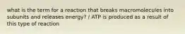 what is the term for a reaction that breaks macromolecules into subunits and releases energy? / ATP is produced as a result of this type of reaction