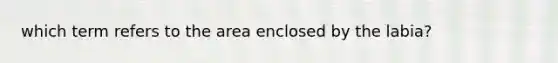 which term refers to the area enclosed by the labia?