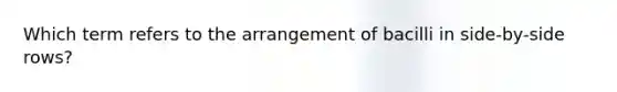 Which term refers to the arrangement of bacilli in side-by-side rows?