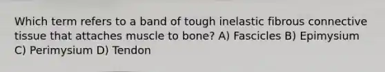 Which term refers to a band of tough inelastic fibrous connective tissue that attaches muscle to bone? A) Fascicles B) Epimysium C) Perimysium D) Tendon