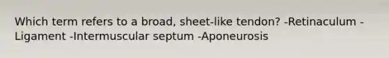 Which term refers to a broad, sheet-like tendon? -Retinaculum -Ligament -Intermuscular septum -Aponeurosis