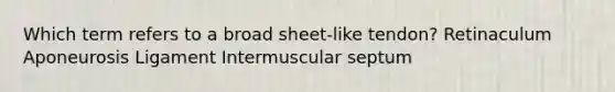 Which term refers to a broad sheet-like tendon? Retinaculum Aponeurosis Ligament Intermuscular septum