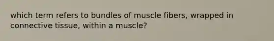 which term refers to bundles of muscle fibers, wrapped in connective tissue, within a muscle?