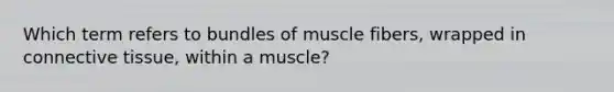 Which term refers to bundles of muscle fibers, wrapped in connective tissue, within a muscle?