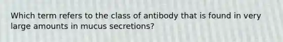 Which term refers to the class of antibody that is found in very large amounts in mucus secretions?