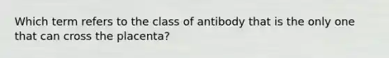 Which term refers to the class of antibody that is the only one that can cross the placenta?