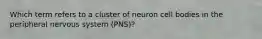 Which term refers to a cluster of neuron cell bodies in the peripheral nervous system (PNS)?