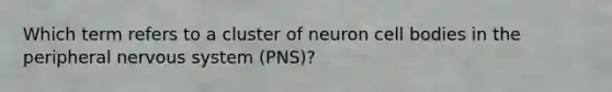 Which term refers to a cluster of neuron cell bodies in the peripheral nervous system (PNS)?