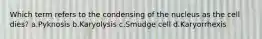 Which term refers to the condensing of the nucleus as the cell dies? a.Pyknosis b.Karyolysis c.Smudge cell d.Karyorrhexis