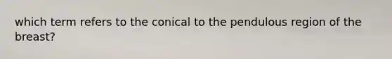 which term refers to the conical to the pendulous region of the breast?