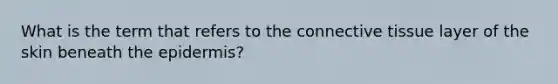 What is the term that refers to the connective tissue layer of the skin beneath the epidermis?