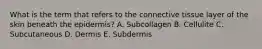 What is the term that refers to the connective tissue layer of the skin beneath the epidermis? A. Subcollagen B. Cellulite C. Subcutaneous D. Dermis E. Subdermis