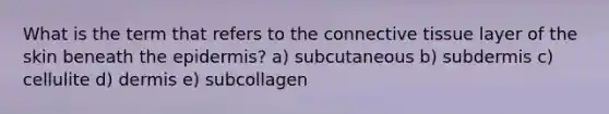 What is the term that refers to the connective tissue layer of the skin beneath the epidermis? a) subcutaneous b) subdermis c) cellulite d) dermis e) subcollagen