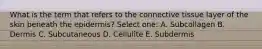 What is the term that refers to the connective tissue layer of the skin beneath the epidermis? Select one: A. Subcollagen B. Dermis C. Subcutaneous D. Cellulite E. Subdermis