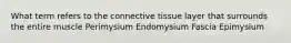 What term refers to the connective tissue layer that surrounds the entire muscle Perimysium Endomysium Fascia Epimysium