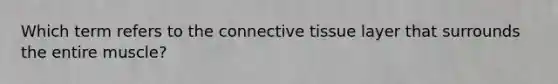 Which term refers to the connective tissue layer that surrounds the entire muscle?
