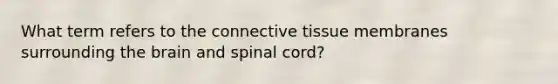 What term refers to the connective tissue membranes surrounding the brain and spinal cord?