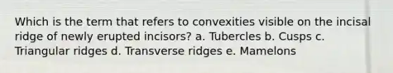 Which is the term that refers to convexities visible on the incisal ridge of newly erupted incisors? a. Tubercles b. Cusps c. Triangular ridges d. Transverse ridges e. Mamelons