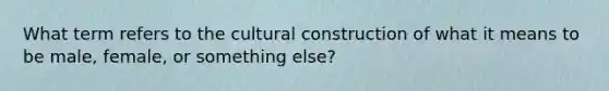 What term refers to the cultural construction of what it means to be male, female, or something else?