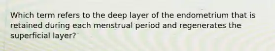 Which term refers to the deep layer of the endometrium that is retained during each menstrual period and regenerates the superficial layer?