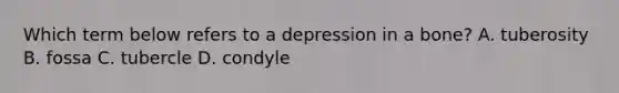 Which term below refers to a depression in a bone? A. tuberosity B. fossa C. tubercle D. condyle