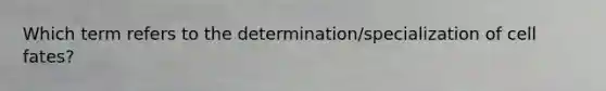 Which term refers to the determination/specialization of cell fates?