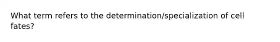 What term refers to the determination/specialization of cell fates?