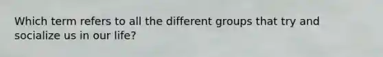 Which term refers to all the different groups that try and socialize us in our life?