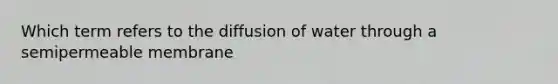 Which term refers to the diffusion of water through a semipermeable membrane