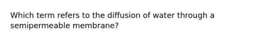 Which term refers to the diffusion of water through a semipermeable membrane?