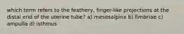 which term refers to the feathery, finger-like projections at the distal end of the uterine tube? a) mesosalpinx b) fimbriae c) ampulla d) isthmus