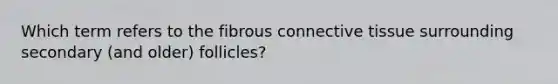 Which term refers to the fibrous connective tissue surrounding secondary (and older) follicles?