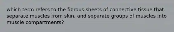 which term refers to the fibrous sheets of connective tissue that separate muscles from skin, and separate groups of muscles into muscle compartments?