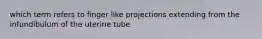 which term refers to finger like projections extending from the infundibulum of the uterine tube