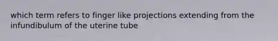 which term refers to finger like projections extending from the infundibulum of the uterine tube