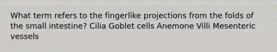 What term refers to the fingerlike projections from the folds of the small intestine? Cilia Goblet cells Anemone Villi Mesenteric vessels