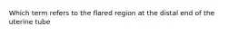 Which term refers to the flared region at the distal end of the uterine tube