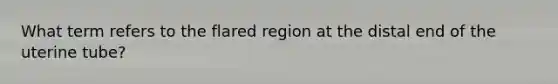 What term refers to the flared region at the distal end of the uterine tube?