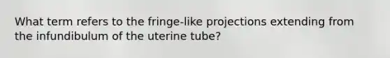 What term refers to the fringe-like projections extending from the infundibulum of the uterine tube?