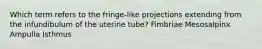 Which term refers to the fringe-like projections extending from the infundibulum of the uterine tube? Fimbriae Mesosalpinx Ampulla Isthmus