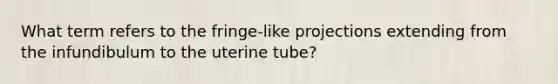 What term refers to the fringe-like projections extending from the infundibulum to the uterine tube?